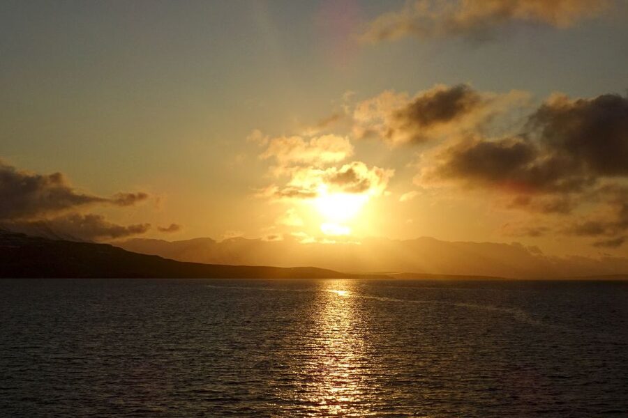 Akureyri: Whale Watching in the Midnight Sun - Is $101 a fair price?
