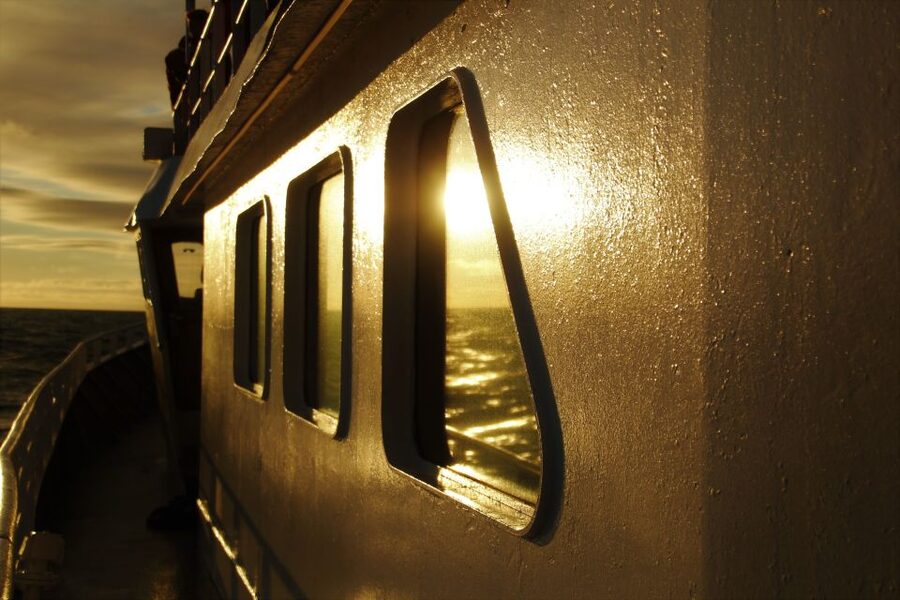 Akureyri: Whale Watching in the Midnight Sun - A high speed boat made for watching