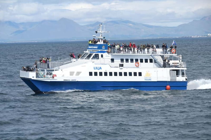 Akureyri: Whale Watching Shore Excursions - Guides who make the waiting worthwhile