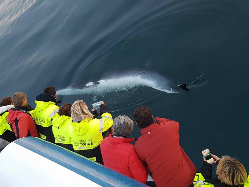 Akureyri: Whale Watching Tour & Forest Lagoon Entrance - Sailing from Akureyri into Eyjafjörður