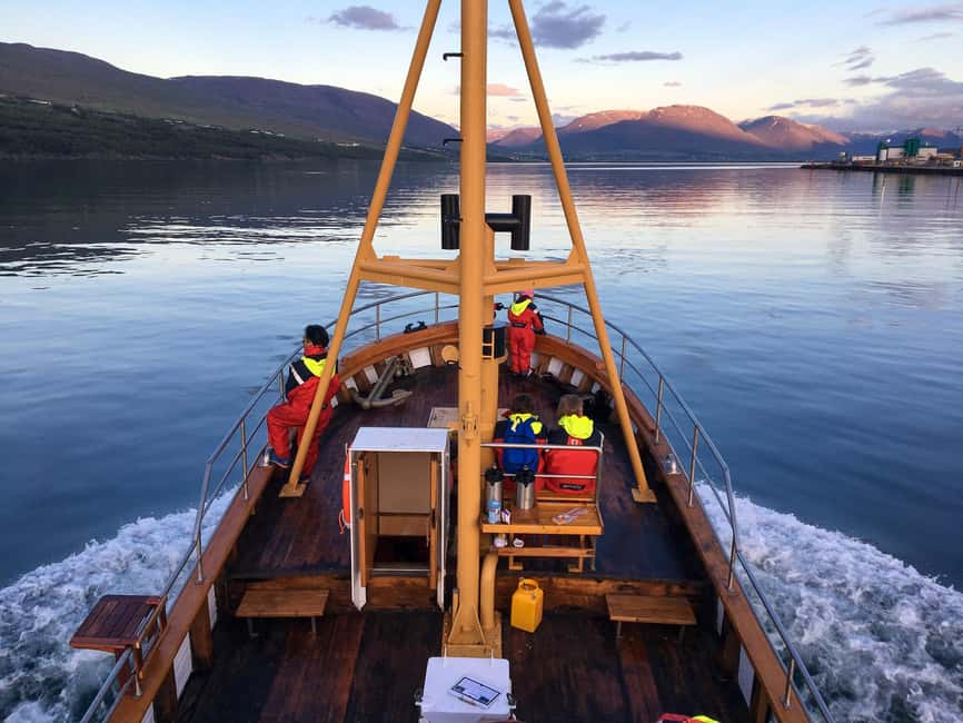 Akureyri: Whale Watching Tour with Transfer from Port - Why this whale watching trip works well from a cruise ship