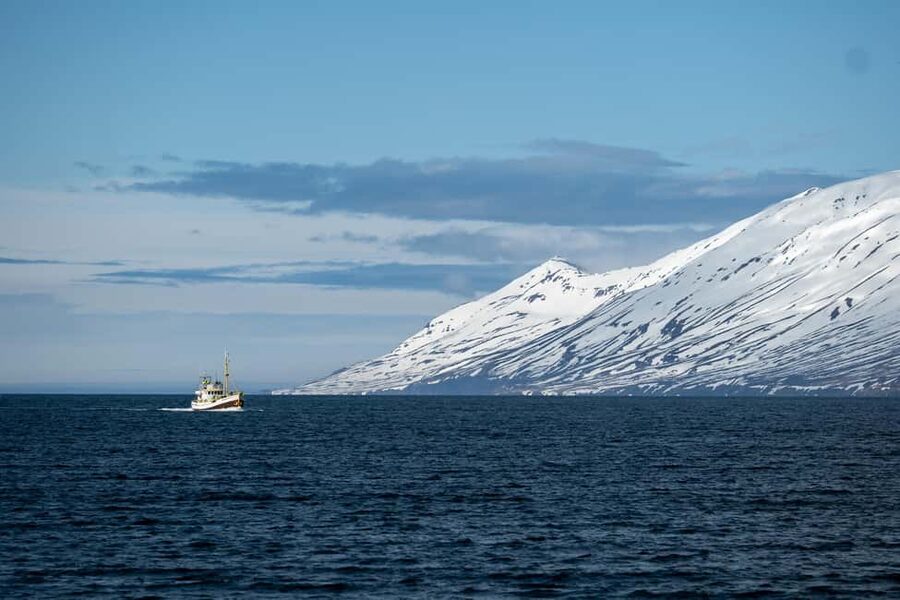 Akureyri: Whale Watching Tour with Transfer from Port - Who should book this experience?