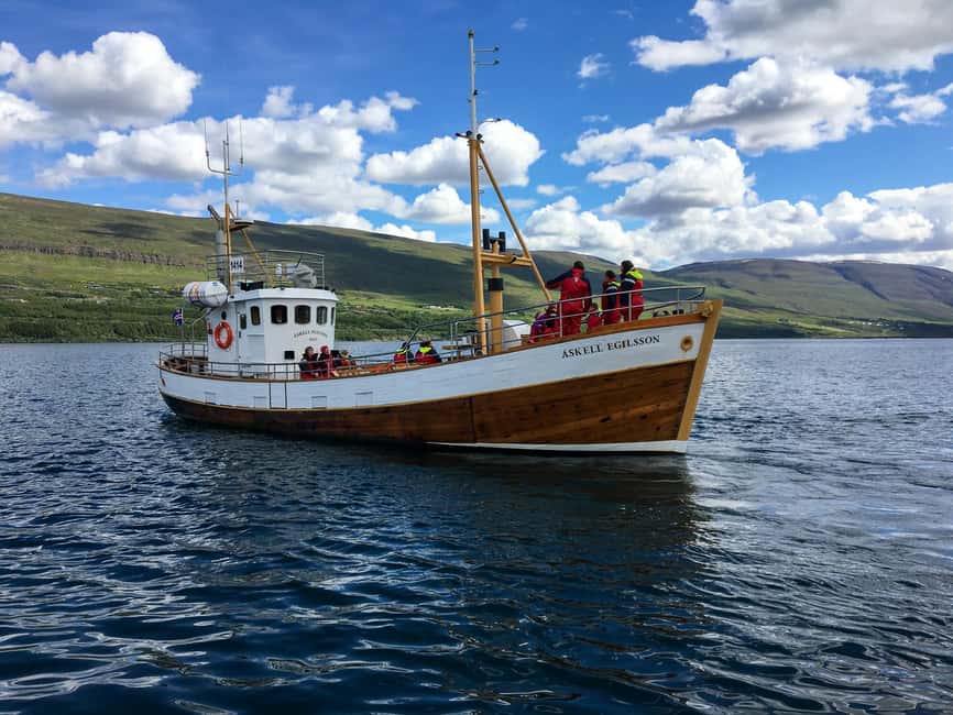 Akureyri: Whale Watching Tour with Transfer from Port - Meeting Saga Travel at Akureyri port
