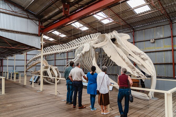 Albany's Whale Story - Inside Albany’s Historic Whaling Station