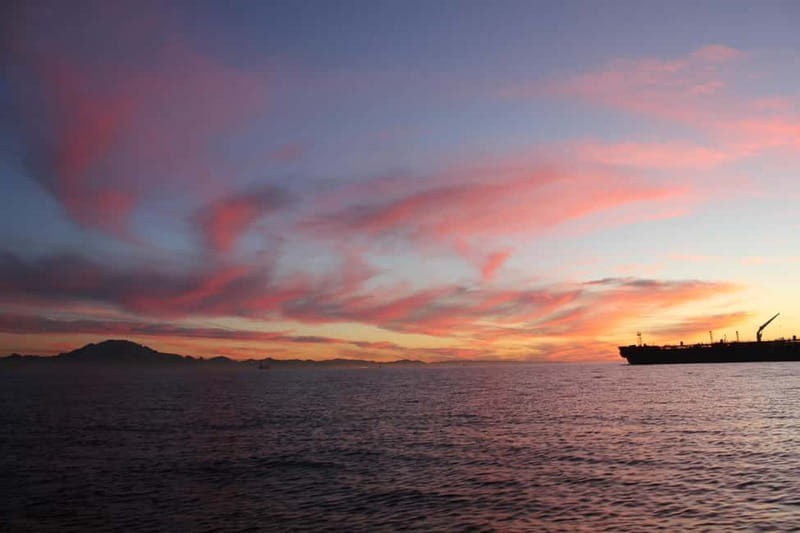 Algeciras: Dolphin and whale watching in reduced groups - Weather, waves, and the free return option