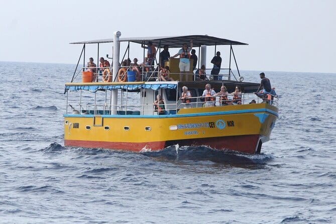 All Inclusive Mirissa Whale and Dolphin Watching Boat Ride - Leaving Before Sunrise for Open Water