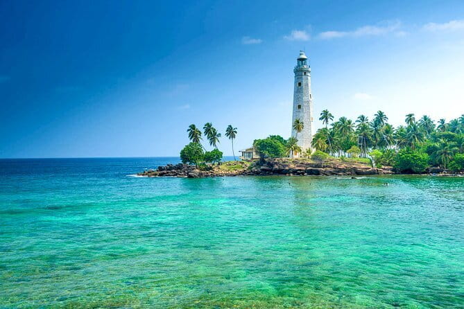 All Inclusive Mirissa Whale and Dolphin Watching Boat Ride - Snacks, Water, and Life at Sea