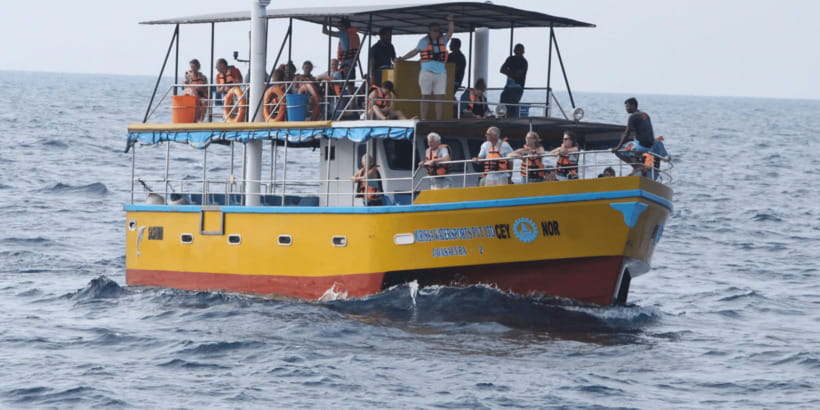 All Inclusive Mirissa Whale & Dolphin Watching + Snorkeling - Snacks, Sea Conditions, and Comfort