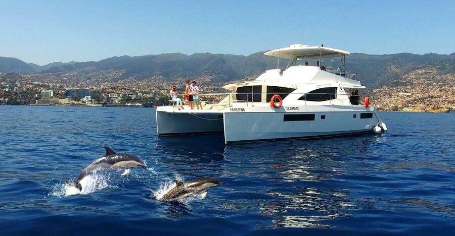 All Inclusive Whale and Dolphin Watching Luxury Tour - Key points at a glance