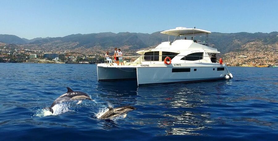 All Inclusive Whale and Dolphin Watching Luxury Tour - Setting out from Funchal with a glass of fizz