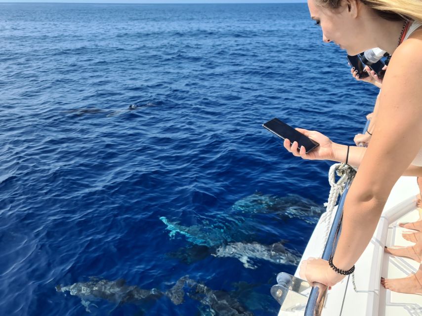All Inclusive Whale and Dolphin Watching Luxury Tour - Cabo Girão: a swim below the 586-meter cliff
