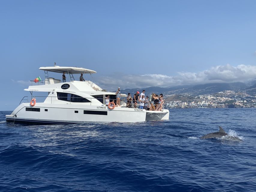 All Inclusive Whale and Dolphin Watching Luxury Tour - Booking details worth knowing before you go