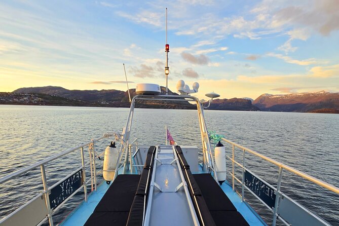 Alta Fjord: Whale Safari Experience - Seeing killer whales from a small fishing boat