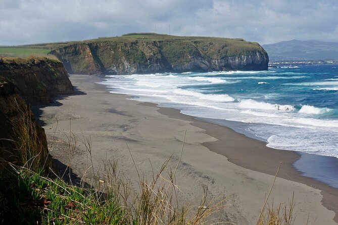 Among Whales Dolphins and Volcanoes Full Day Tour With Lunch - Is $192.77 a fair price?