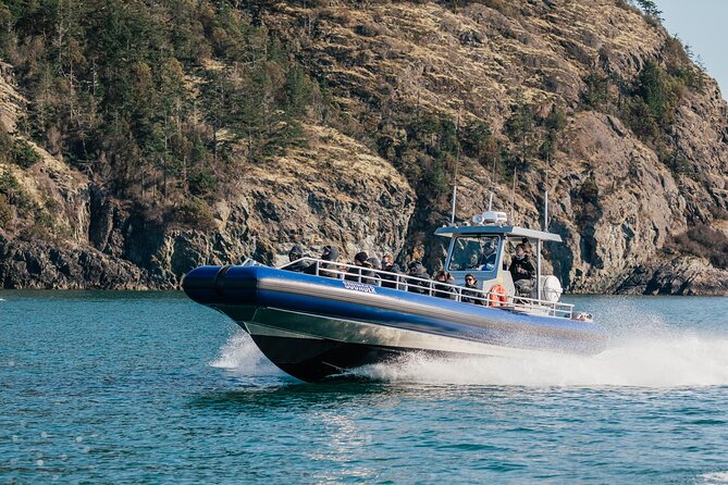 Anacortes Whale Watching Adventure Tour - Zodiac Boat - Humpbacks, Minkes, Gray Whales, and Smaller Wildlife