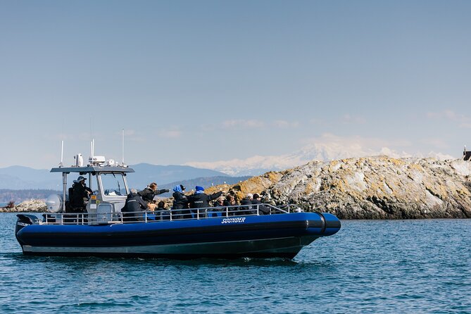 Anacortes Whale Watching Adventure Tour - Zodiac Boat - Weather, Comfort, and Safety