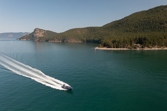 Anacortes Whale Watching Adventure Tour - Zodiac Boat - Who Will Enjoy This Tour Most
