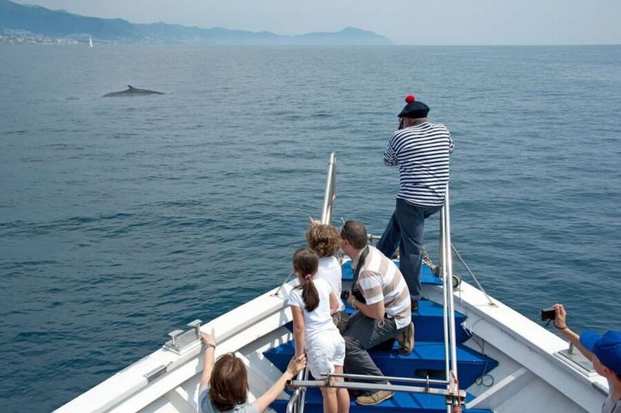 Aquarium of Genoa Ticket and Whale Watching Cruise - Starting at Europe’s Broadest Aquarium Collection