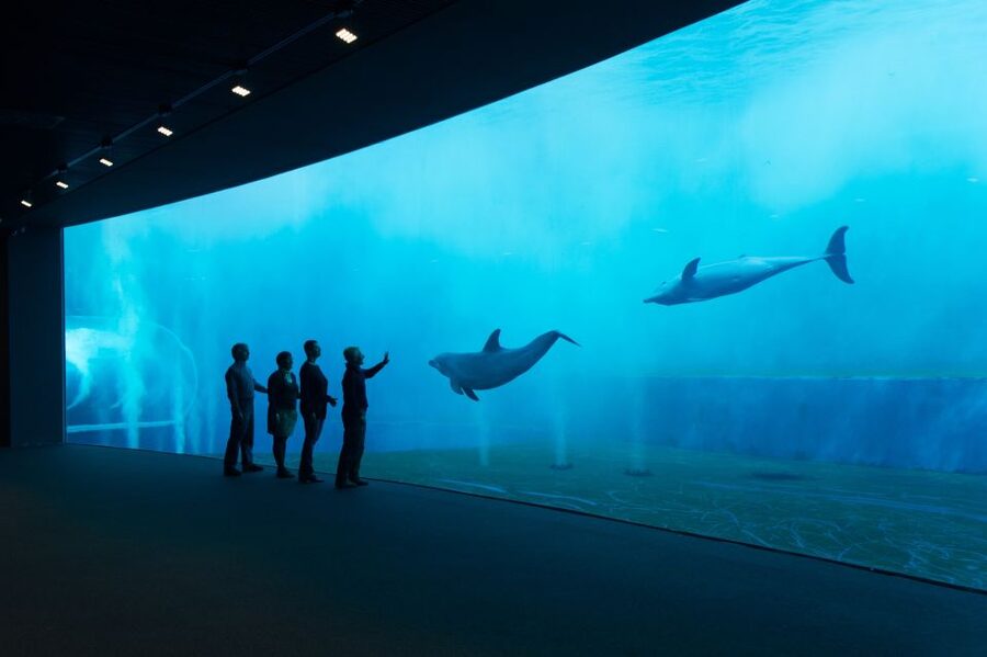 Aquarium of Genoa Ticket and Whale Watching Cruise - Walking to the Pier Beside the Aquarium
