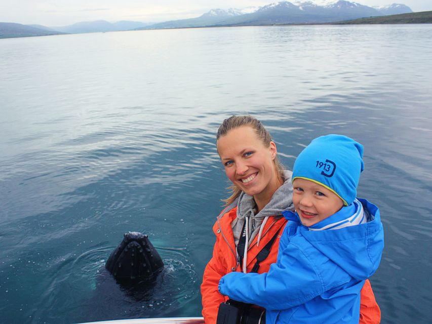 Árskógssandur: Whale-Watching Boat Trip - Key points to know before you go