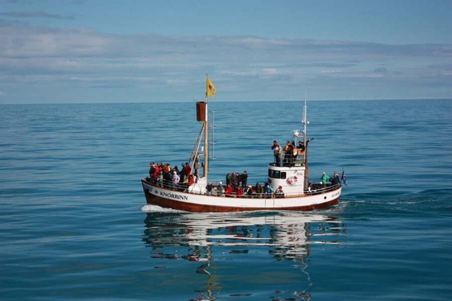 Árskógssandur: Whale-Watching Boat Trip - Is $96 a fair price?