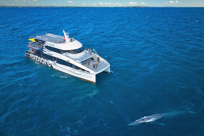 Auckland: Tikapa Moana Dolphin, Whale and Island Cruise - What the boat offers during seven hours