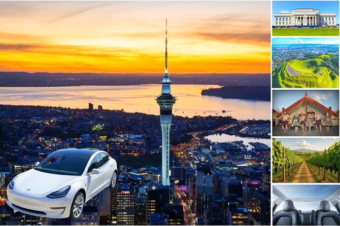 Auckland: Tikapa Moana Dolphin, Whale and Island Cruise - Weather, cancellations, and practical comfort
