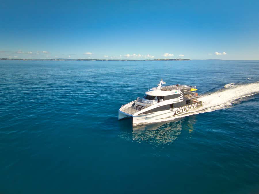 Auckland: Tikapa Moana Whales, Dolphins and Islands Cruise - Leaving Auckland for Tikapa Moana