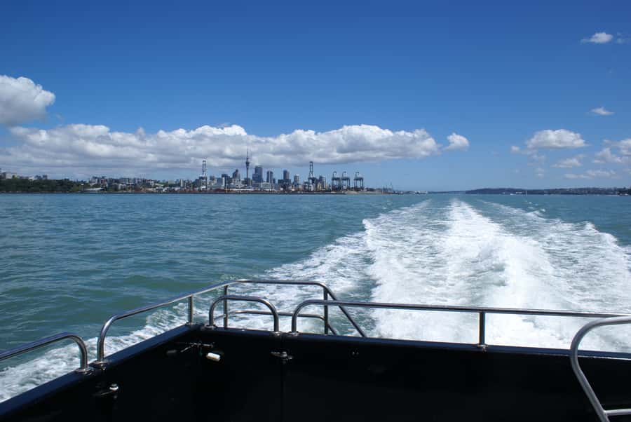 Auckland: Tikapa Moana Whales, Dolphins and Islands Cruise - Man O’ War Vineyard: wine, lunch, and a stopwatch