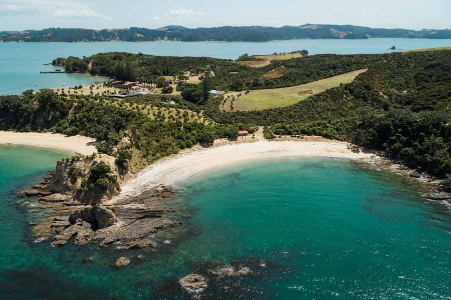 Auckland: Tikapa Moana Whales, Dolphins and Islands Cruise - Summer departure times and how they affect your day