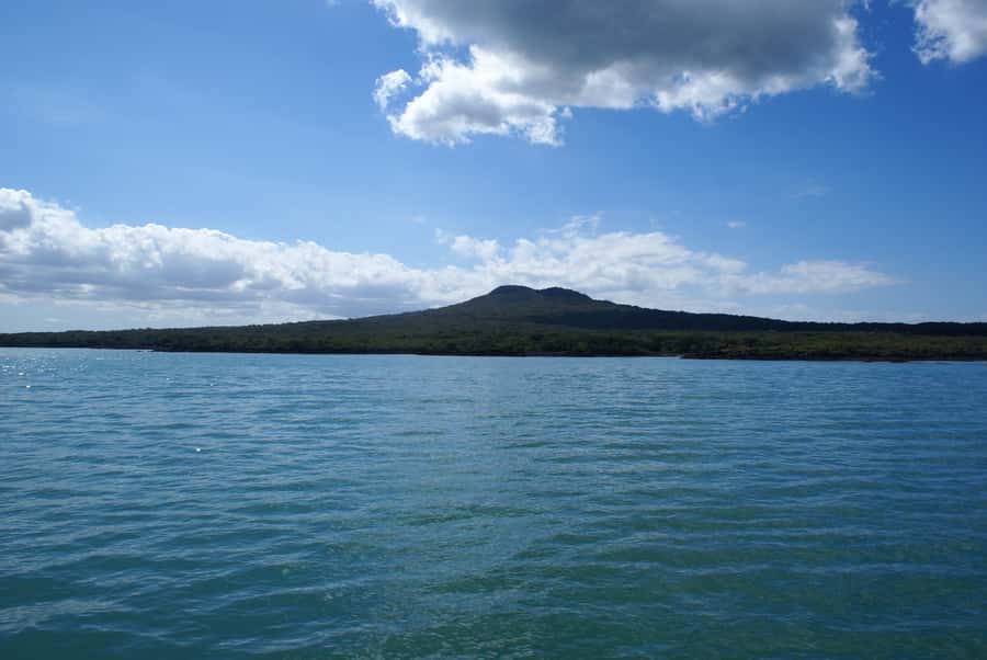 Auckland: Tikapa Moana Whales, Dolphins and Islands Cruise - Is the $92 price good value?