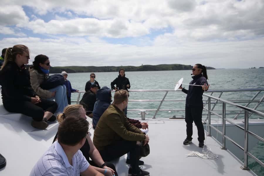 Auckland: Whale and Dolphin Watching Half-Day Eco Cruise - Searching the Hauraki Gulf Marine Park
