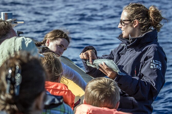 Azores Whale Watching & Islet Boat Tour - Why this Azores boat trip is worth considering