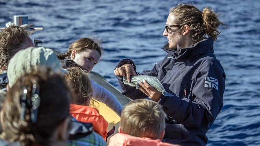 Azores: Whale Watching & Islet Boat Tour w/ Marine Biologist - Key points to know before booking