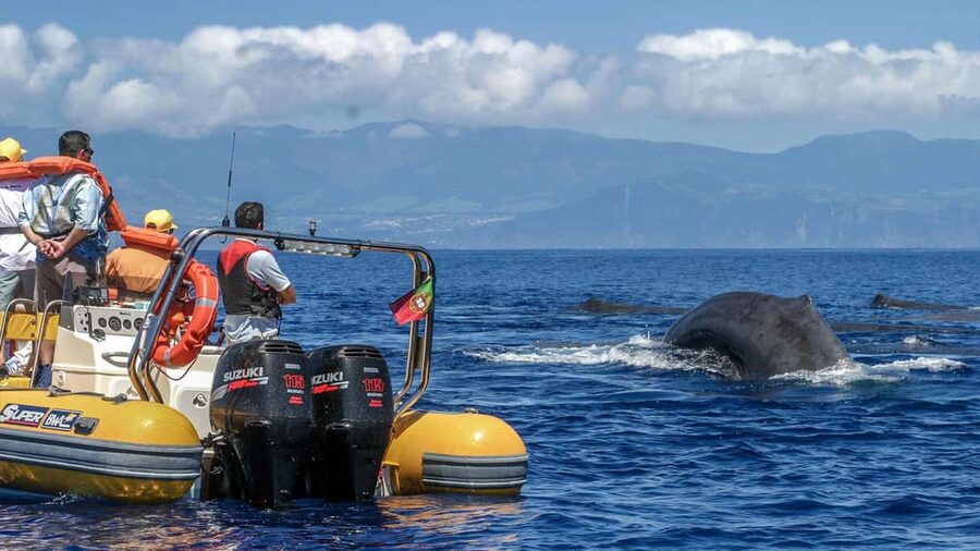 Azores: Whale Watching & Islet Boat Tour w/ Marine Biologist - Leaving Vila Franca for the open Atlantic