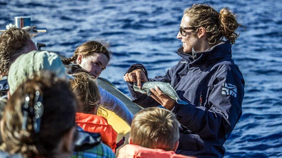 Azores: Whale Watching & Islet Boat Tour w/ Marine Biologist - Booking advice for your São Miguel plans