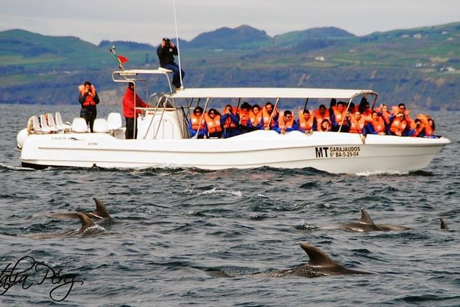 Azores Whale Watching Tour – Ponta Delgada - Leaving Marina Pêro de Teive in Ponta Delgada