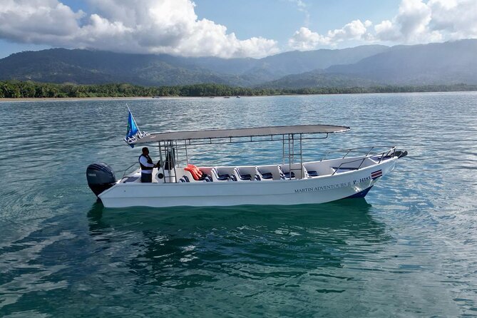 Bahia Ballena Whale and Dolphin Tour - Morning - At a Glance: What Makes This Boat Trip Worth Considering