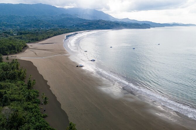 Bahia Ballena Whale and Dolphin Tour - Morning - Isla Ballena: Snorkel or Swim