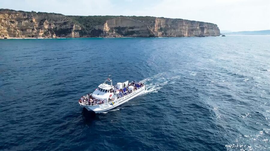 Barbate: Dolphin and Whale Watching in Cape Trafalgar - Leaving Barbate marina for the Atlantic