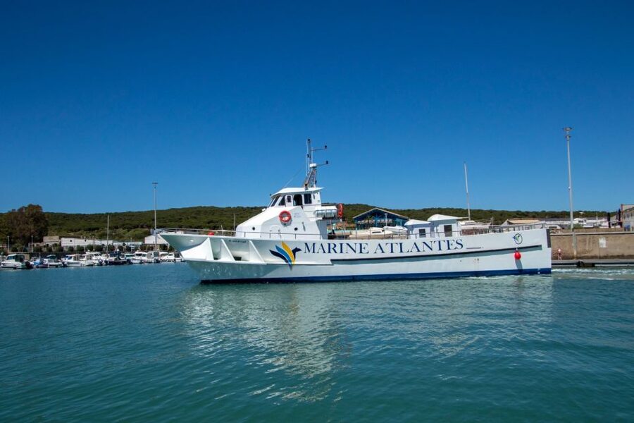 Barbate: Dolphin and Whale Watching in Cape Trafalgar - The coastal ride toward Cape Trafalgar