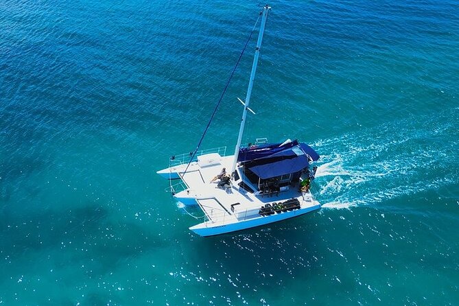 Best Waikiki Whale Watching in Honolulu: Whales Guaranteed - The Crew Sets the Tone