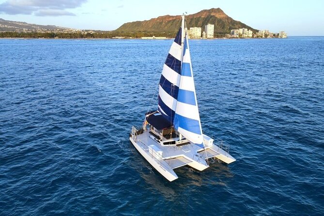 Best Waikiki Whale Watching in Honolulu: Whales Guaranteed - Searching for Humpbacks Off Honolulu