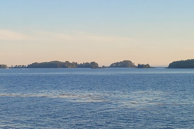 Best Whale Watching and Wildlife Shore Excursion in Sitka - Looking for humpbacks, grey whales, and sea lions