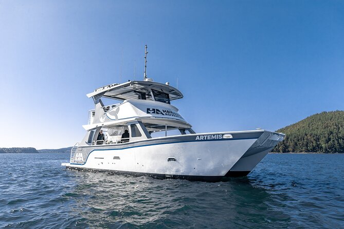 Big Island: Pelagic Whale Watch Tour - Heading offshore into the pelagic zone