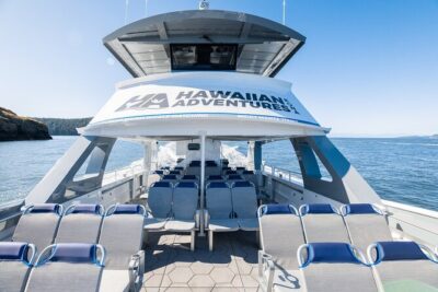 Big Island: Pelagic Whale Watch Tour
