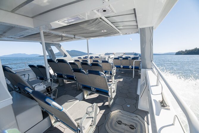 Big Island: Pelagic Whale Watch Tour - Is $129 a fair price?