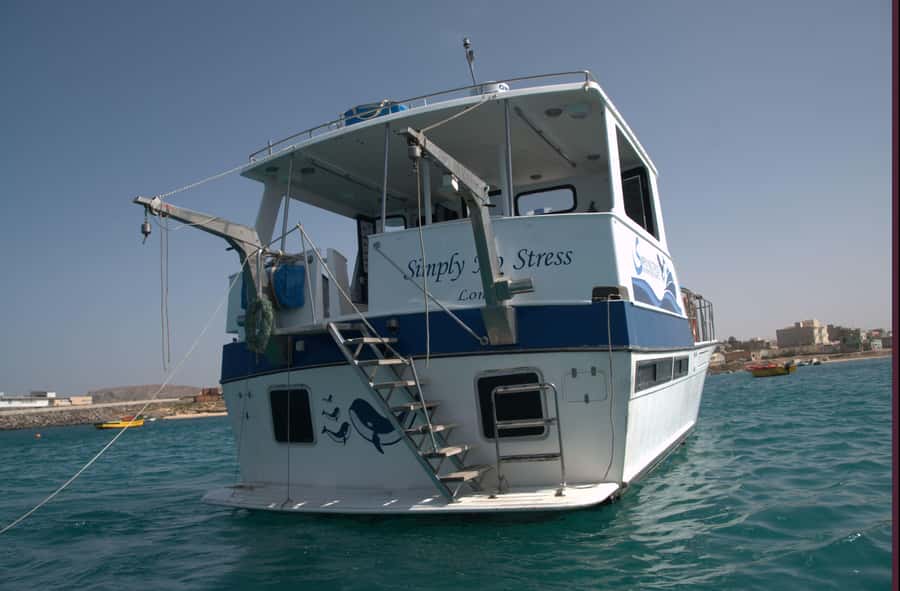 Boa Vista: Whale Watching Trip with Motoryacht - My practical booking advice