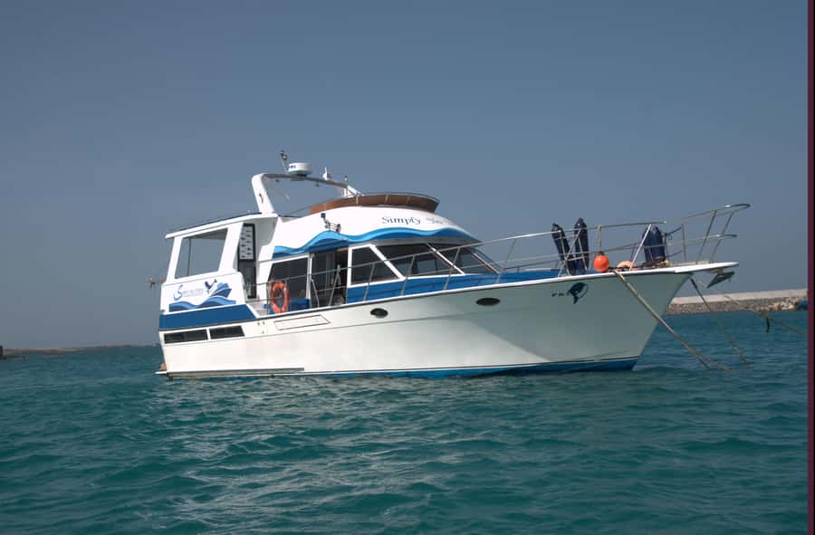 Boa Vista: Whale Watching Trip with Motoryacht - Learning from the marine biologist