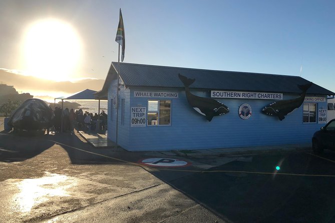 Boat Based Whale Watching from Hermanus - Weather, sea conditions, and comfort